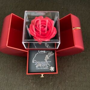 Love Themed Silver Necklace with Red Rose Box